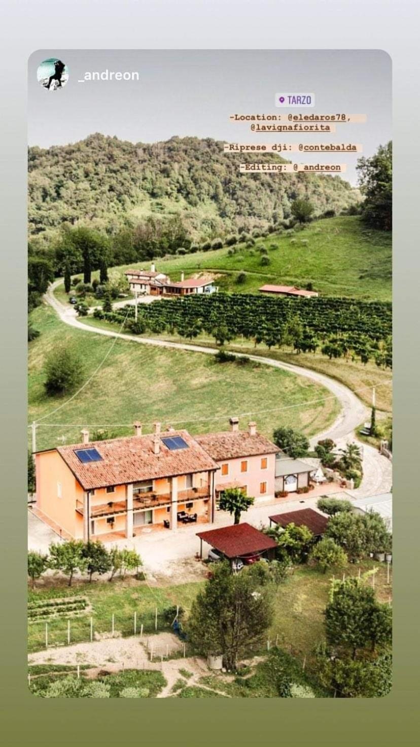 LA VIGNA FIORITA B&b Tarzo Exterior foto